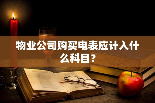 物业公司购买电表应计入什么科目？