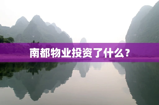 南都物业投资了什么？