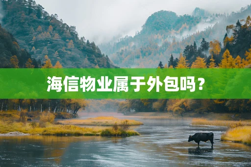 海信物业属于外包吗？